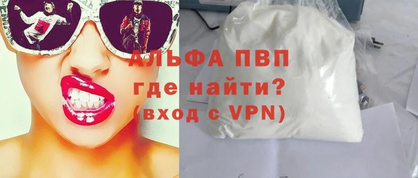 ГАЛЛЮЦИНОГЕННЫЕ ГРИБЫ Осинники