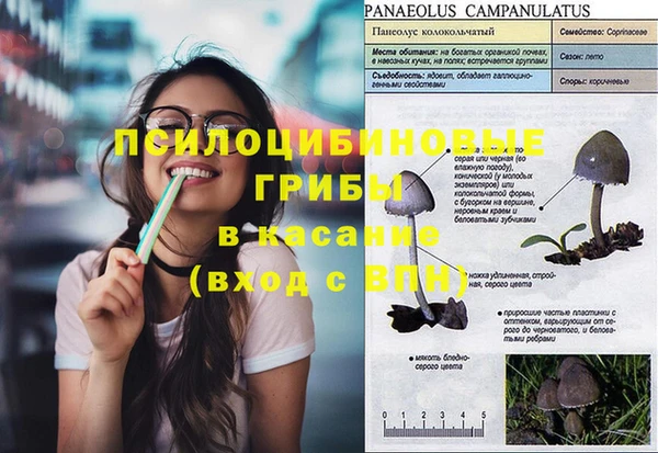 меф Богданович