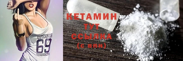 прущие грибы Белокуриха